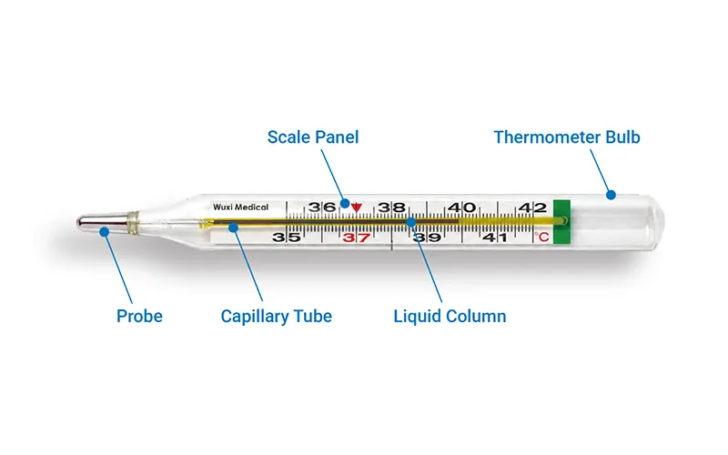Construction of Clinical Thermometers
